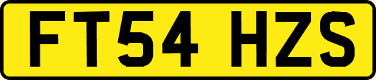 FT54HZS