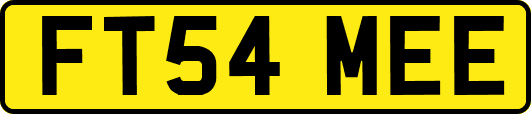 FT54MEE