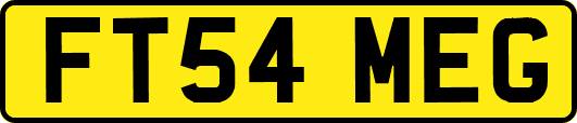 FT54MEG