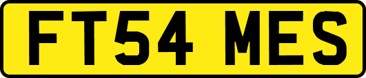 FT54MES