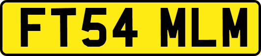 FT54MLM