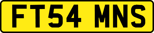 FT54MNS