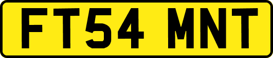 FT54MNT