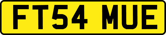 FT54MUE