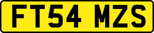 FT54MZS