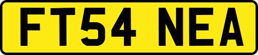 FT54NEA