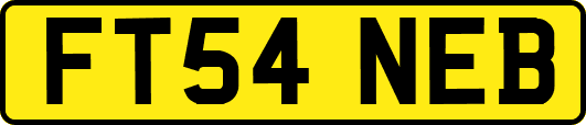 FT54NEB
