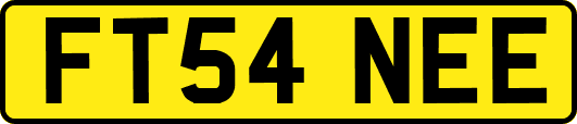 FT54NEE