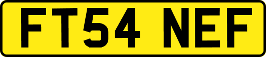 FT54NEF