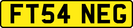 FT54NEG