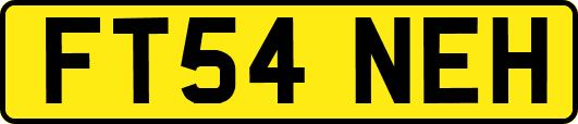 FT54NEH