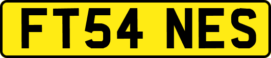 FT54NES
