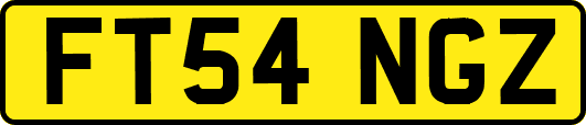 FT54NGZ
