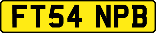 FT54NPB