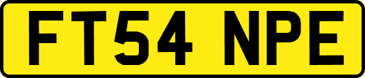 FT54NPE