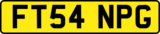 FT54NPG