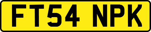 FT54NPK