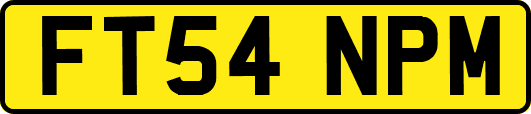 FT54NPM