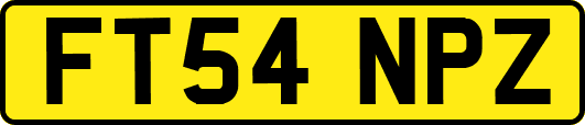 FT54NPZ