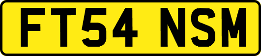 FT54NSM