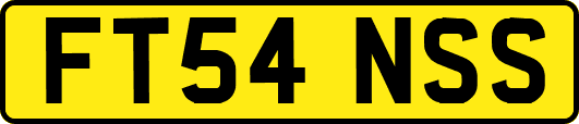 FT54NSS