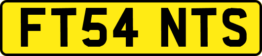 FT54NTS