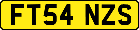 FT54NZS