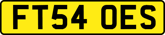 FT54OES