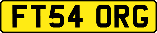 FT54ORG