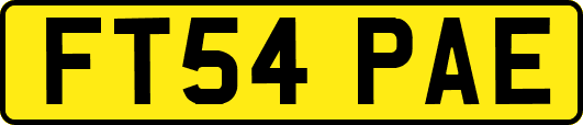 FT54PAE