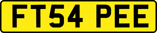 FT54PEE