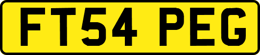 FT54PEG
