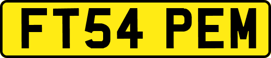 FT54PEM