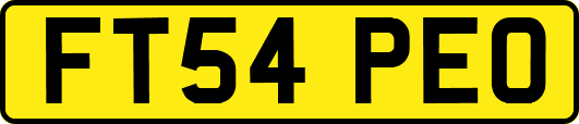 FT54PEO