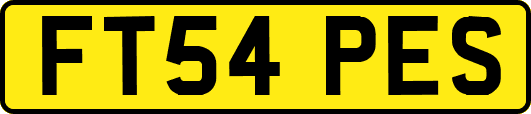 FT54PES