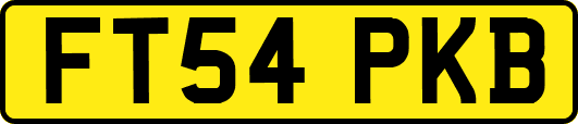 FT54PKB
