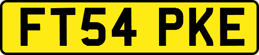 FT54PKE