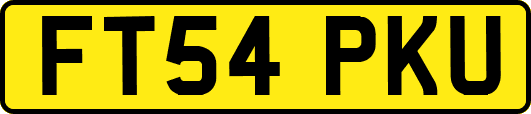 FT54PKU