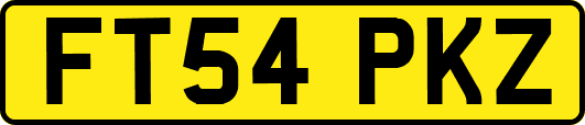 FT54PKZ