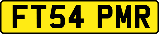 FT54PMR