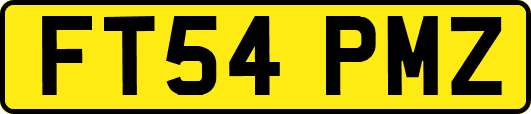 FT54PMZ