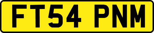 FT54PNM