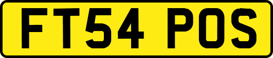 FT54POS