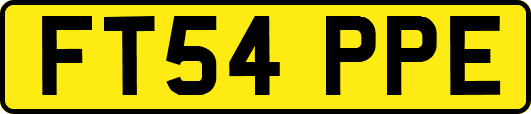 FT54PPE