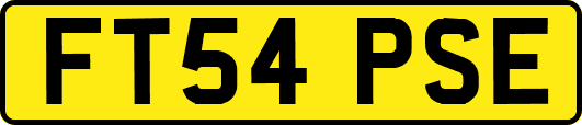 FT54PSE
