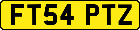 FT54PTZ