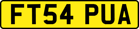 FT54PUA