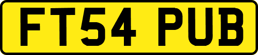 FT54PUB