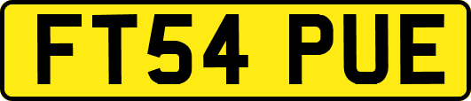 FT54PUE