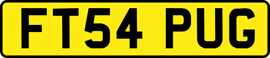 FT54PUG
